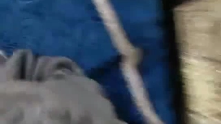 下一篇中文字幕人妻-快餐豪哥1500约炮粉逼艺校兼职妹逼太紧几分钟就把哥搞射了的!